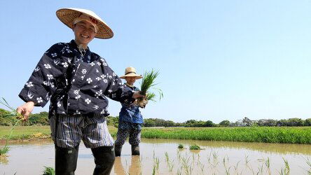 16 Day Japan's National Parks, Art & Culture (Heritage Expeditions)