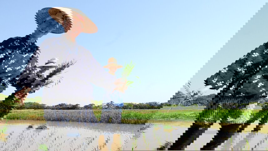 Japan's National Parks, Art & Culture