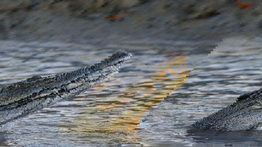 Kimberley Coast Adventure Cruise