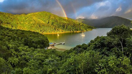 14 Day New Zealand Coastal Odyssey (Heritage Expeditions)