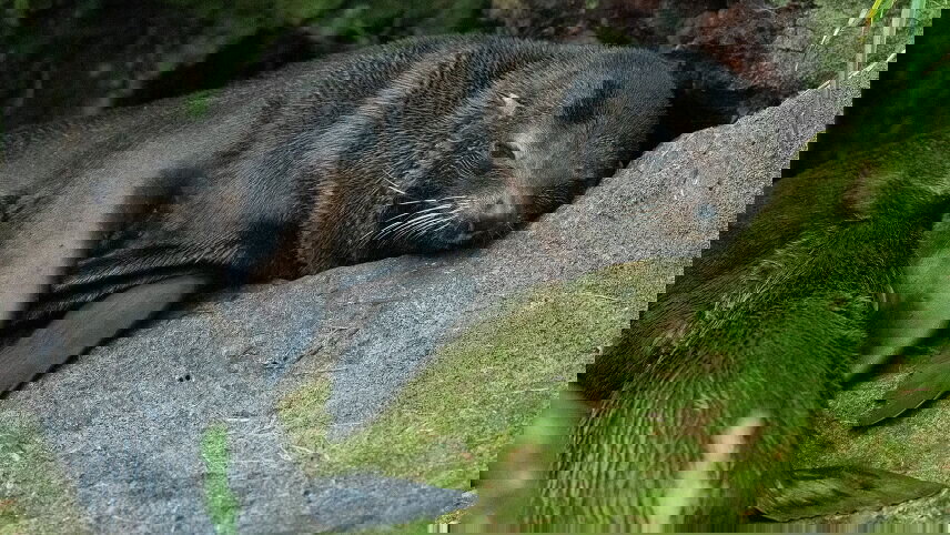 Southern Fiords Discovery