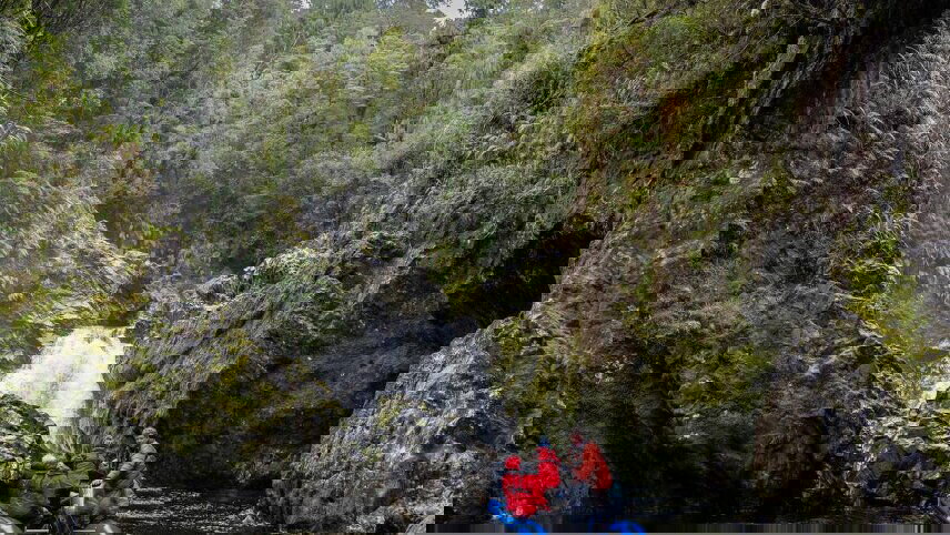 Southern Fiords Discovery