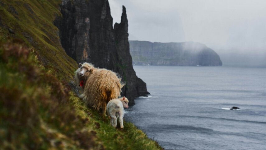 Scotland, Faroe Islands & Iceland