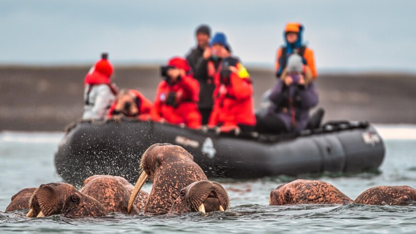 Svalbard, Greenland & Iceland Arctic Islands