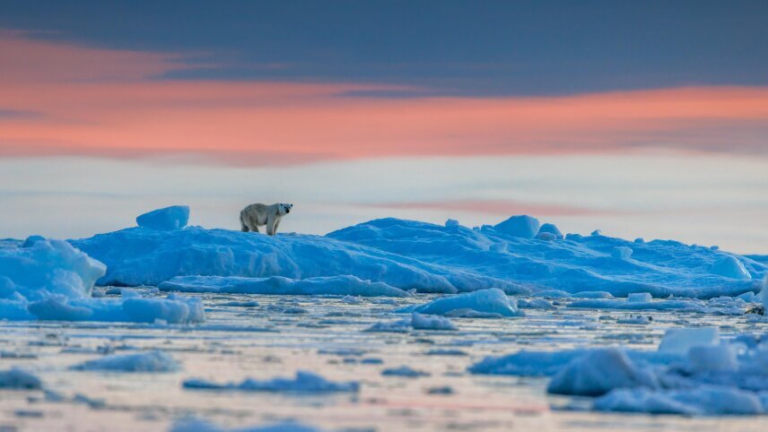 Svalbard, Greenland & Iceland Arctic Islands
