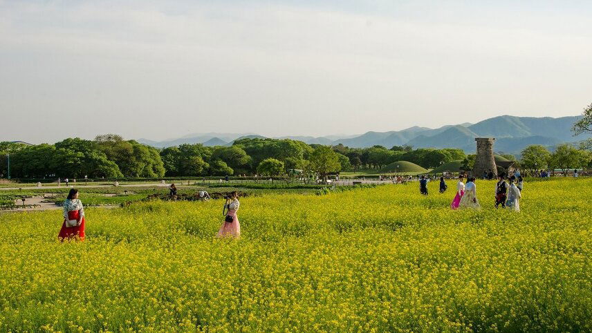 Sacred Japan & South Korea