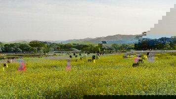 11 Day Sacred Japan & South Korea (Heritage Expeditions)