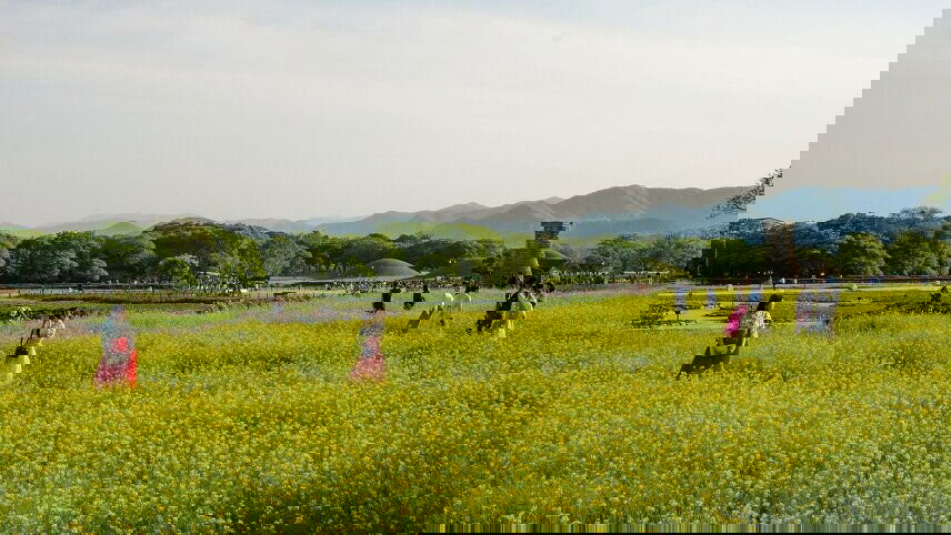 Sacred Japan & South Korea