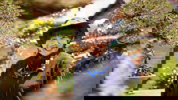 11 Day Sacred Japan & South Korea (Heritage Expeditions)