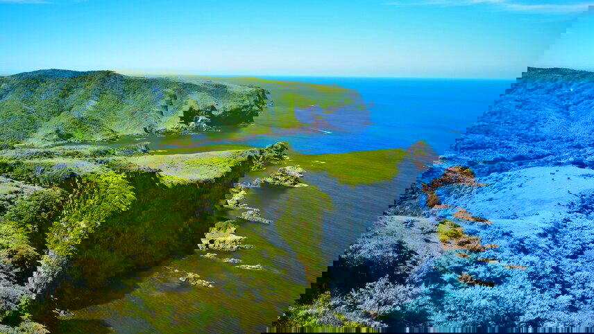 Springtime Splendour In Japan Cruise