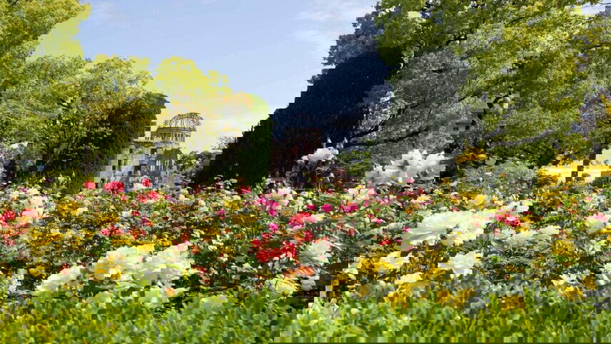 Springtime Splendour In Japan Cruise