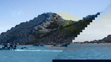 9 Day The Top Of The South (Heritage Expeditions)