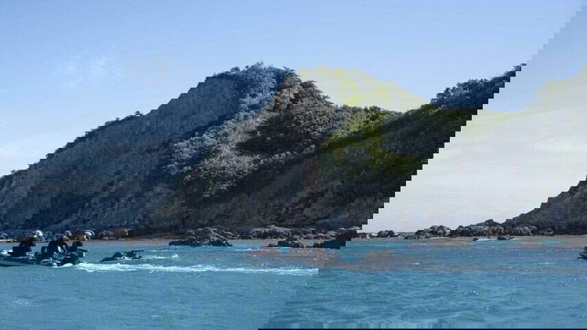 The Top Of The South