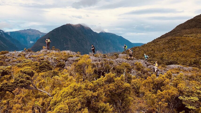 Unseen Fiordland And Stewart Island