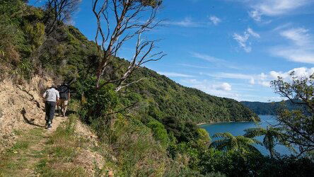 5 Day Unseen Queen Charlotte Sound (Heritage Expeditions)
