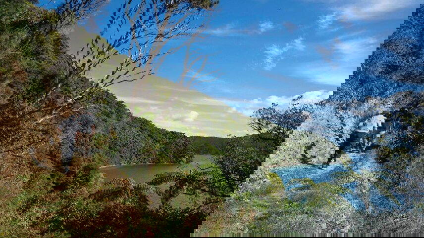 Unseen Queen Charlotte Sound