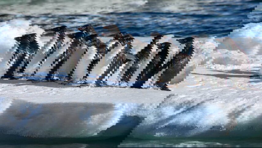 In The Wake Of Scott & Shackleton