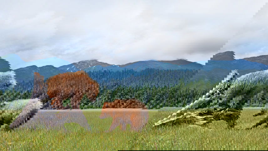 Discover the Wonders of Alaska in 2026 with Holland America Line