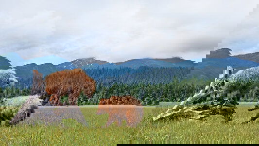 Discover the Wonders of Alaska in 2026 with Holland America Line