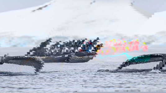 Hurtigruten Small Ship Expeditions