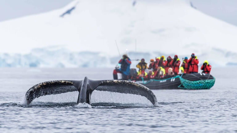 In-depth Antarctica & Patagonia Expedition - Southbound (Flights Included)