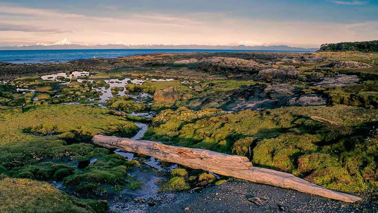 Antarctica, Patagonia, Chilean Fjords - Voyage of Discovery (Northbound)