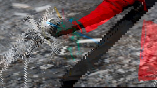 Tread Lightly with Sustainable Cruising