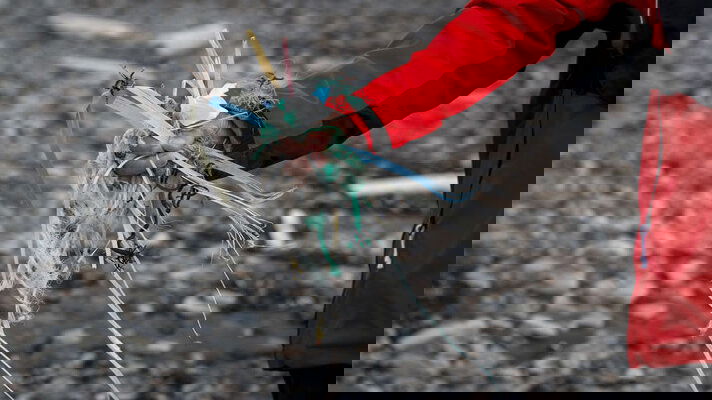 Tread Lightly with Sustainable Cruising