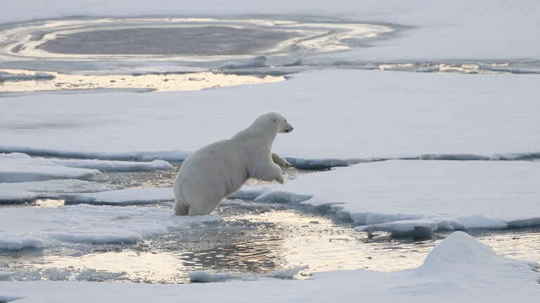 The Svalbard Line (Roundtrip)