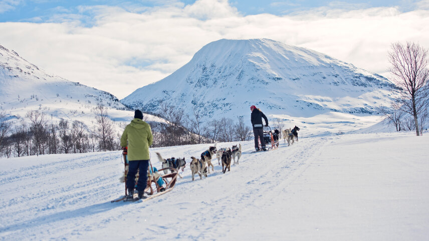 The Arctic Line (South)