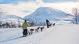 11 Day The Arctic Line (South) (Hurtigruten)