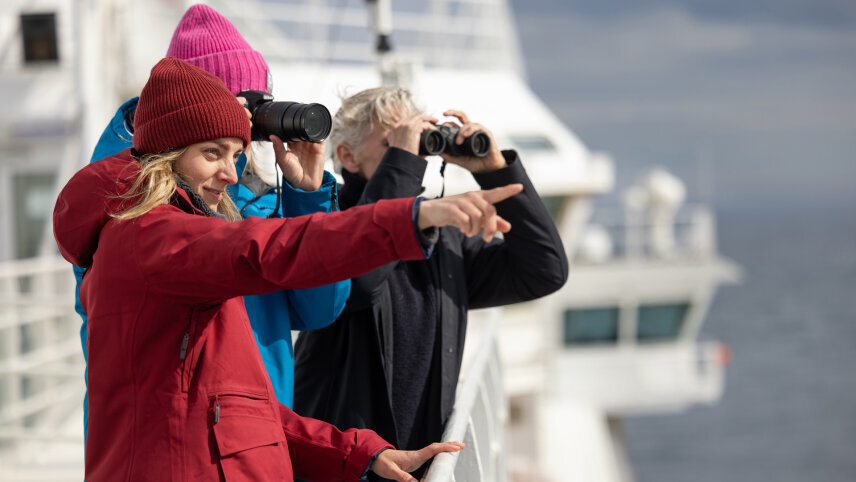 The North Cape Line (Winter)