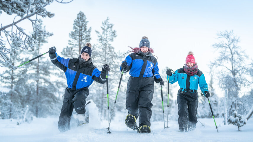 A Nordic Winter Journey (Finnish Lapland, Norway and Oslo)