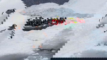 18 Day Antarctic Circle Expedition (HX Expeditions)