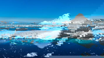 16 Day Antarctica & Falkland Expedition (HX Expeditions)