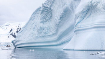 16 Day Antarctica & Falkland Expedition (HX Expeditions)