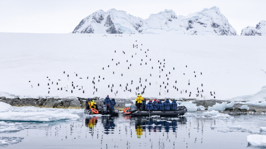 Antarctica & Falklands - From Punta Arenas to Buenos Aires