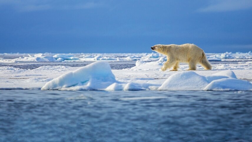 Arctic Island Odyssey - Svalbard, Greenland and Iceland
