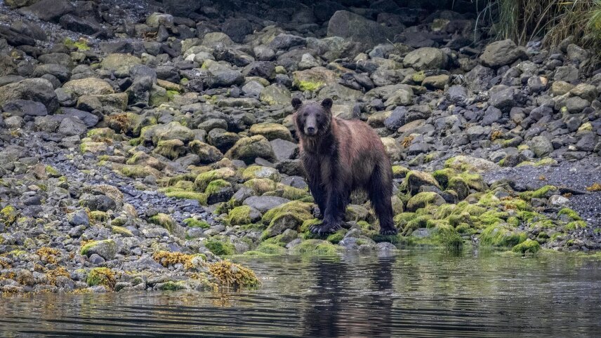 Alaska’s Inside Passage – Fjords of the Great Land