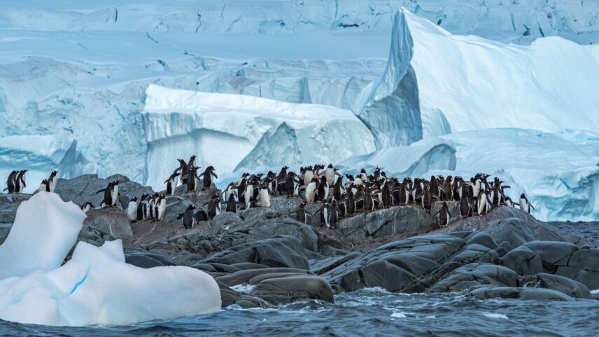 Antarctica & Patagonia Expedition