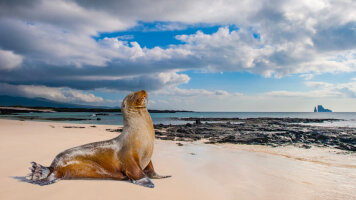 9 Day Galápagos Islands – In Darwin’s Footsteps (Eastern Route) (HX Expeditions)