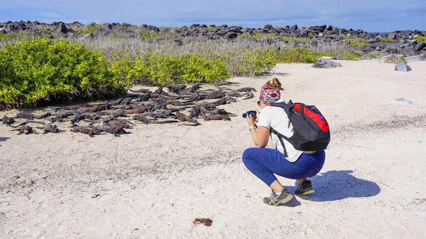 Galápagos Islands – In Darwin’s Footsteps plus Machu Picchu
