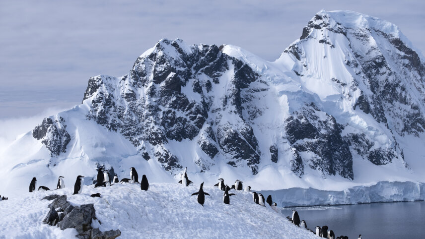 Highlights of Antarctica