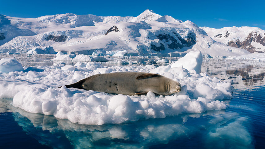 Iconic Antarctica – The Explorer’s Route