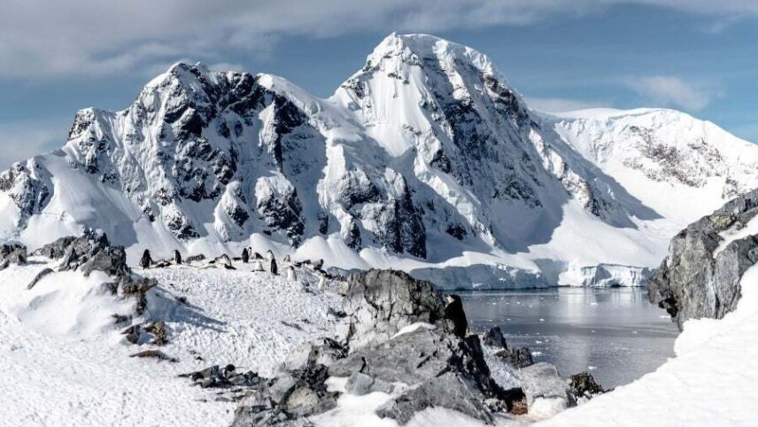 Life Returns - Springtime Expedition to Antarctica