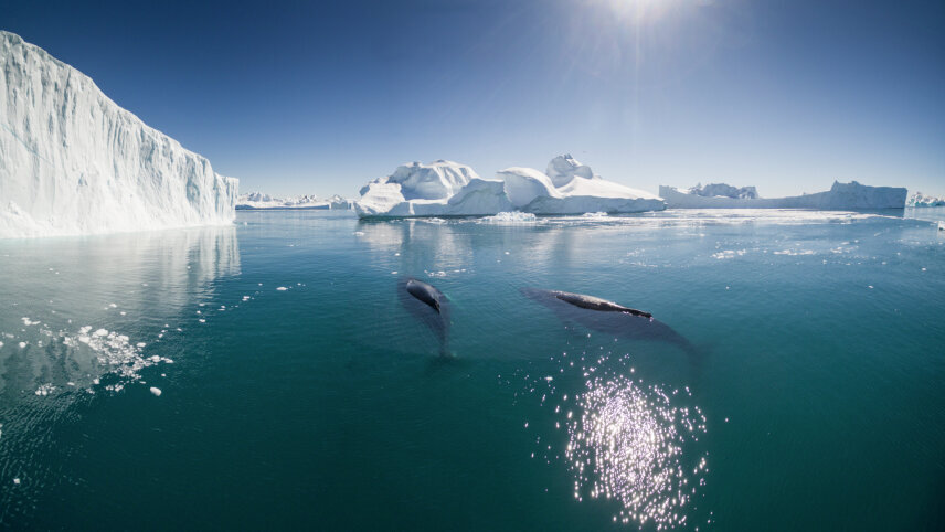 Northwest Passage – Across the Top of the World