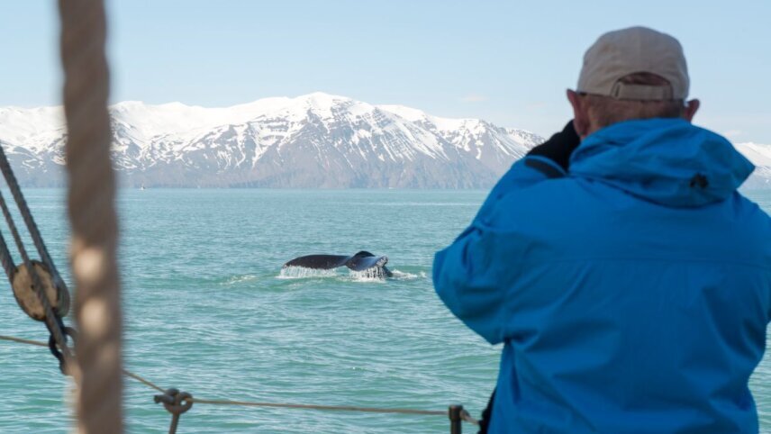 Spitsbergen, Iceland, Faroe Islands – Island Hopping in and around the Arctic (Southbound) 