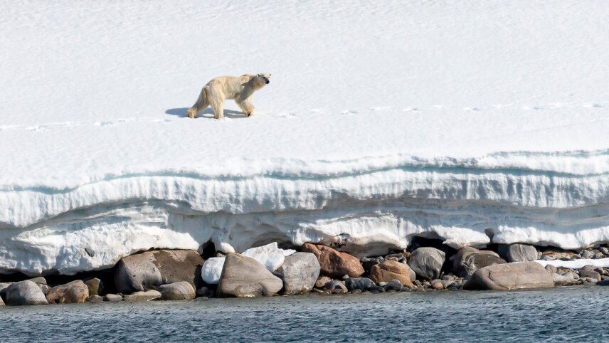 Svalbard in Spring – The Return of the Sun