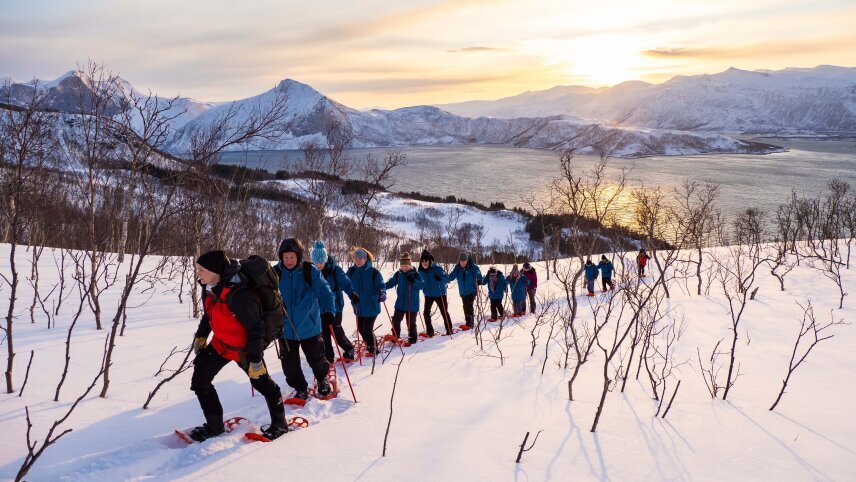 Ultimate Norway at Christmas - Arctic Expedition under the Northern Lights 