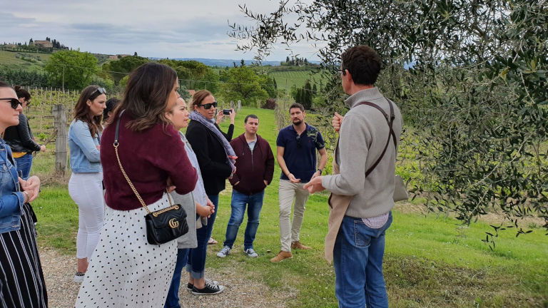 Farm to Table Experience, San Gimignano